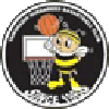 https://img.zgjxsg.com/img/basketball/team/e416830f4083698237c559f8988ddb25.png