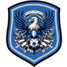 https://img.zgjxsg.com/img/football/team/09bb5b9732bc080d522c37e74ce70004.png