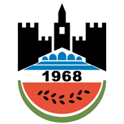 https://img.zgjxsg.com/img/football/team/3389c10323340806a65f2469c82d1393.png