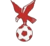 https://img.zgjxsg.com/img/football/team/4802d26df935b78bb2fcdbbff36e8864.png