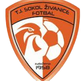 https://img.zgjxsg.com/img/football/team/5477d301041e00b2de35d5eeea2fabb4.png