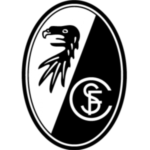 https://img.zgjxsg.com/img/football/team/6508946c9a5fe22a8784b905b25e8c79.png