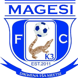 https://img.zgjxsg.com/img/football/team/dc1df1e4722068b08e2fcddeeab4e7af.png